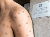 MAJMUNSKE BOGINJE STIGLE U SRBIJU: Ovo je muškarac koji ih donio...