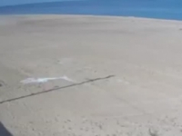 UZNEMIRUJUĆI SNIMAK SA PLAŽE: Plivača raznijela mina u Odesi pred očima članova porodice (VIDEO)