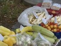 DOK CIJENE HRANE DRAMATIČNO RASTU, VLASTI SE BRINU SAMO ZA SVOJE DŽEPOVE: Prizori ispred banjalučke pošte slika i prilika stanja u našoj zemlji (VIDEO)