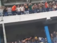 HIT NA INTERNETU: Pogledajte kako su crnogorski navijači 'provocirali' goste iz Bosne i Hercegovine, oglasio se i Sergej Barbarez... (VIDEO)