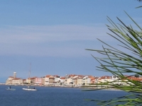 BILJEŽNICA ROBIJA K.: 'Niška drina'