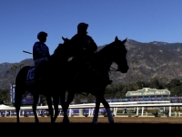 BIO BUDAN 29 SATI PRIJE DOGAĐAJA: Ovo je treći čovjek u historiji koji je u utrci pobijedio konja (VIDEO)