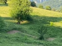 SLOVO 'Z' U KRUGU MANASTIRA KOD SREBRENICE: Podržava li iguman Luka Babić rusku agresiju na Ukrajinu? (FOTO)