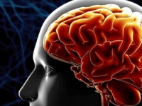 MOŽE BITI KOBNO: Naučnici upozoravaju na mogućnost oštećenja mozga, ukoliko…