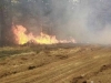 DOK SE HERCEGOVINA BORI SA VATROM: Starica na Jablaničkom jezeru zapalila otpad kraj kuće, a planula cijela šuma