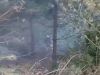 NOVI PROBLEMI U HERCEGOVINI: U kanjonu Neretve kod Konjica izbio požar na miniranom terenu