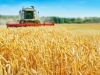 MJESECIMA BLOKIRANA HRANA U LUKAMA: Hoće li dogovor Ukrajine i Rusije o žitu ublažiti globalnu prehrambenu krizu