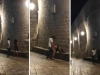 SEKS NA BRZAKA U DUBROVNIKU; GRAĐANI ZGROŽENI SCENOM: Dvojac se nije dao smesti...