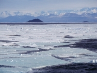 PO GROZNOM SCENARIJU NAUČNIKA: Ako dođe do nuklearnog rata...
