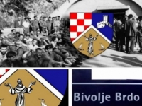 POSTAVILI NEUSTAVNI GRB NA KUĆAMA U ČAPLJINI; REAGOVAO KLUB BOŠNJAKA: 'Hrvati misle da je to njihova opština...'