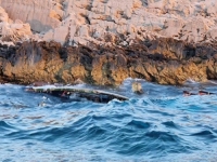 TRAGEDIJA U DALMACIJI: Prevrnuo se izletnički brod s turistima, poginuo skiper…