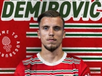 ERMEDIN DEMIROVIĆ IMA NOVI KLUB: Ali, ostaje u Bundesligi