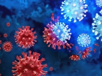 STRUČNJACI ZABRINUTI: Nova opasna podvarijanta koronavirusa prepuna novih mutacija vrlo brzo se širi…
