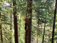 SARAJEVSKI GSS SE UKLJUČIO U AKCIJU: Na Romaniji spašen pilot paraglajdera koji je prinudno sletio