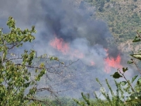 NOVI POŽAR NA JUGU ZEMLJE: Gori u blizini Bileće, jak vjetar pogoršava situaciju