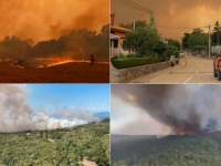 UZNEMIRUJUĆE VIJESTI IZ SLOVENIJE: Zemlju pogodili nezapamćeni požari, evakuisana brojna sela - 'Ovo poprima tragične razmjere' (FOTO, VIDEO)