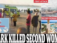 ODMOR IZ NOĆNE MORE: Još jedna žena ubijena u napadu ajkule u Hurgadi (FOTO)