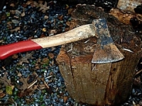 HOROR U BEOGRADU: Ženi sjekirom smrskao glavu pa pokušao da se zakolje