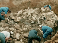 SREBRENIČKI GENOCID KROZ SVJEDOČENJE SRBA: 'Iz gomile ljudskih tijela pojavilo se ljudsko biće. To bio neki dječak od pet-šest godina…'