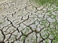 ZBOG DUGOTRAJNE SUŠE: U Sloveniji nema tuširanja na plaži ni punjenja bazena, prijete i redukcije