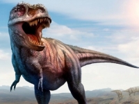 NAUČNICI IZ ARGENTINE OTKRILI NOVU VRSTU GRABEŽLJIVCA: Otkriveno zašto je T-Rex imao male ruke