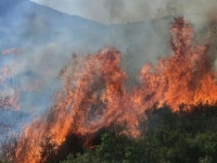 'ČEKA NAS BESANA NOĆ': Požari bukte u okolini Čitluka i Čapljine