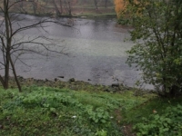 UŽAS U BiH: U Vrbasu pronađeno tijelo nepoznatog muškarca, naložena obdukcija