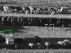 DRAMATIČNA SITUACIJA: Ruski jurišni helikopteri preletjeli američke vojne baze, ispaljene rakete (VIDEO)