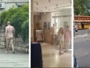 'KAO OD MAJKE ROĐEN': Građani u nevjerici gledali čovjeka koji je potpuno gol šetao gradom, uredno je ušao i u ured Turističke zajednice