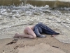 OPĆA PANIKA: Kupači su počeli vrištati, policija hitno stigla na plažu, a onda je neko dotakao 'golu ženu'... (FOTO)