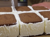 POGRIJEŠITI NE MOGU NI GASTRO-POČETNICI: Priprema ovog kremastog keks sladoleda gotova je za pet minuta