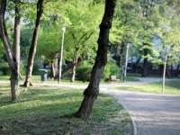 UŽAS U ZAGREBU: Silovana 15-godišnja djevojčica, četiri muškarca uhapšena