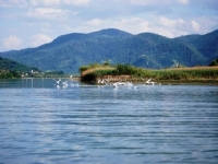 TRAGEDIJA U BiH: Pronađeno tijelo muškarca u rijeci Drini