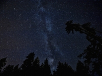 SPEKTAKL KOJEG NE SMIJETE PROPUSTITI: Večeras na nebu posljednji Supermjesec u godini i zvijezde padalice