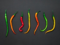 GUINNESSOVA KNJIGA REKORDA: Koja je najljuća papričica na svijetu?