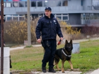 SKRIVAO UŽAS U STANU: Širio se nesnosan smrad, no pravi horor vidjeli su kada su otvorili vrata