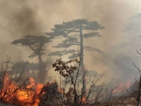 POTREBNA POMOĆ IZ ZRAKA: Požari u Neumu i Konjicu i dalje aktivni