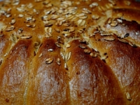 SUD BiH POTVRDIO: Vlasnik pekare optužen za utaju 50.000 KM poreza