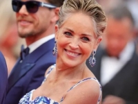 PREŠIROKO ILI TAMAN?: Sharon Stone prošetala Beverly Hillsom u živopisnoj kombinaciji (FOTO)