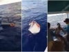 ČUDOM PREŽIVIO: Ribar 11 dana plutao u zamrzivaču nasred okeana (VIDEO)