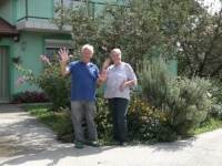 POKLANJAJU ŠLJIVE ZA PEKMEZ: Ako vam se isplati, pravac Kamičani