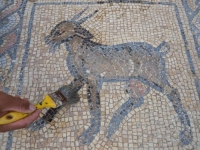 ARHEOLOŠKO BLAGO: Mozaik iz vizantijskog doba otkriven u pojasu Gaze, dobro očuvane slike... (FOTO)