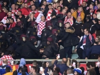DRAMATIČNO NA TRIBINAMA BEČKOG STADIONA: Hrvatski navijači potukli se s policijom, neki su privedeni (FOTO)