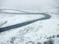 A KADA PADNE PRVI SNIJEG: Zabijelilo se...