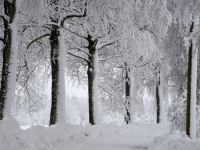NEVRIJEME ZAHVATILO VEĆI DIO EVROPE: U Sloveniji i Austriji pao prvi snijeg
