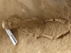 JEZIVA MISTERIJA: Arheolozi pronašli grobnicu staru više od 2.000 godina, a kada su otkrili o čemu se radi – uslijedio je šok…