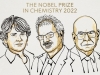KAO I ZA FIZIKU: I Nobelovu nagradu za hemiju dobilo troje naučnika