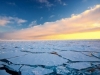 NAUČNICI OBJASNILI ZAŠTO: Arktik bi uskoro mogao izazvati sljedeću pandemiju