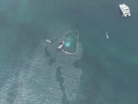 NAUČNICI TVRDE: Tihom okeanu dani odbrojani, nastat će novi superkontinent na Zemlji