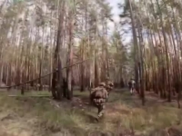 PANIKA U RUSKOM TABORU: Ukrajinske snage postigle najveći uspjeh na jugu zemlje od početka rata (VIDEO)
